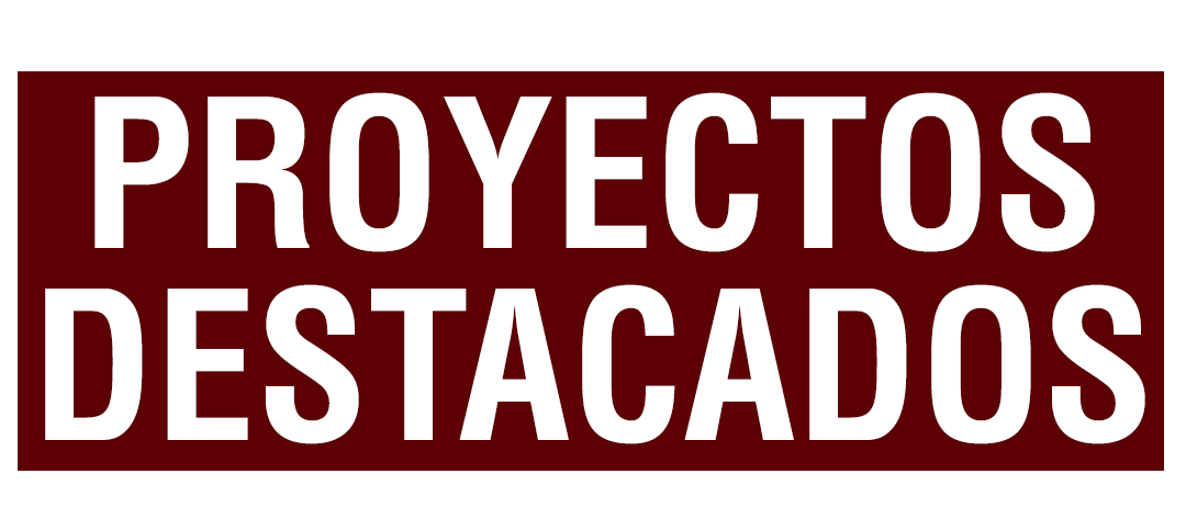 Proyectos Destacados