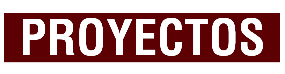 Proyectos